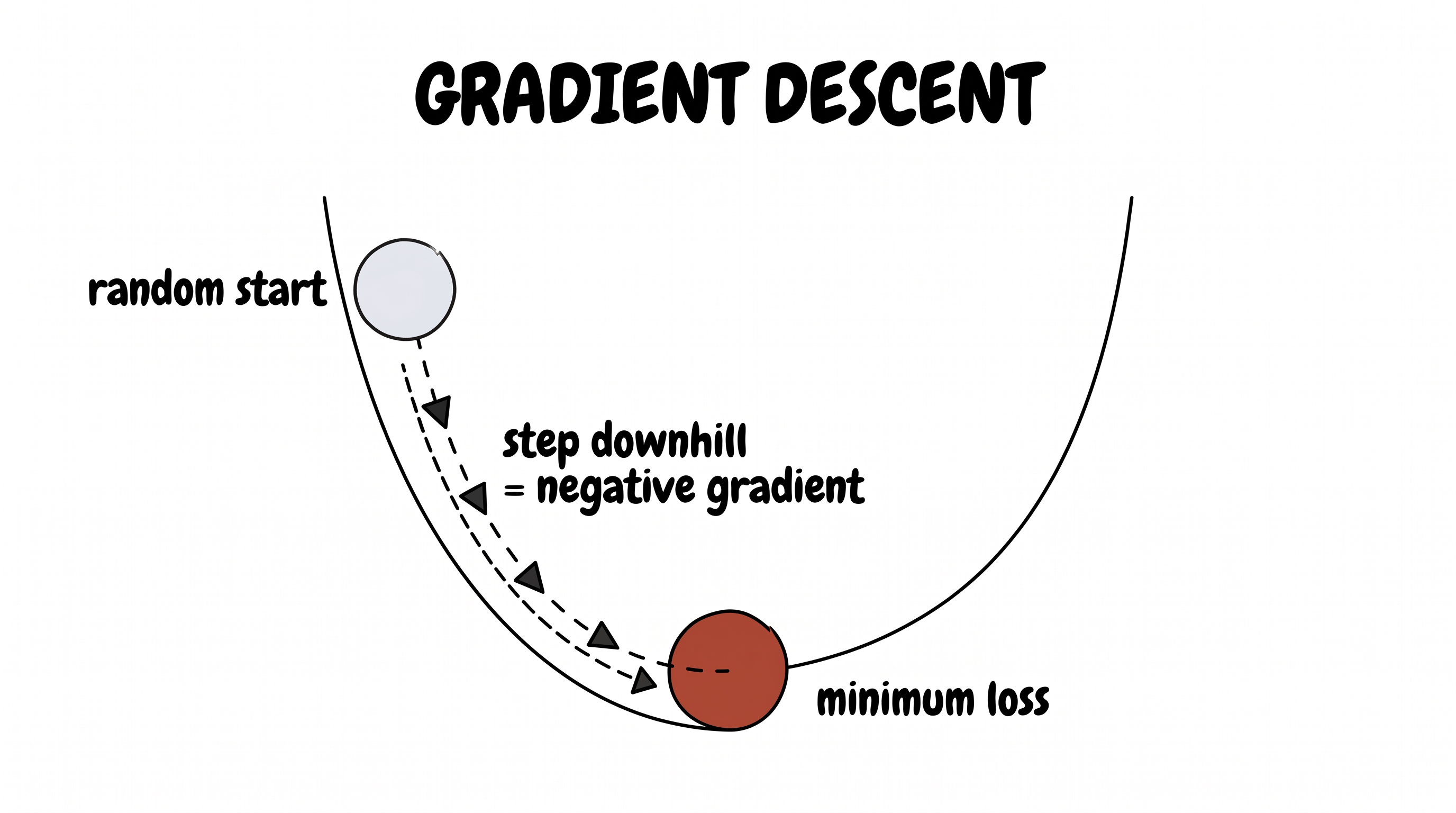 Gradient descent: a ball rolling to the minimum of a loss curve