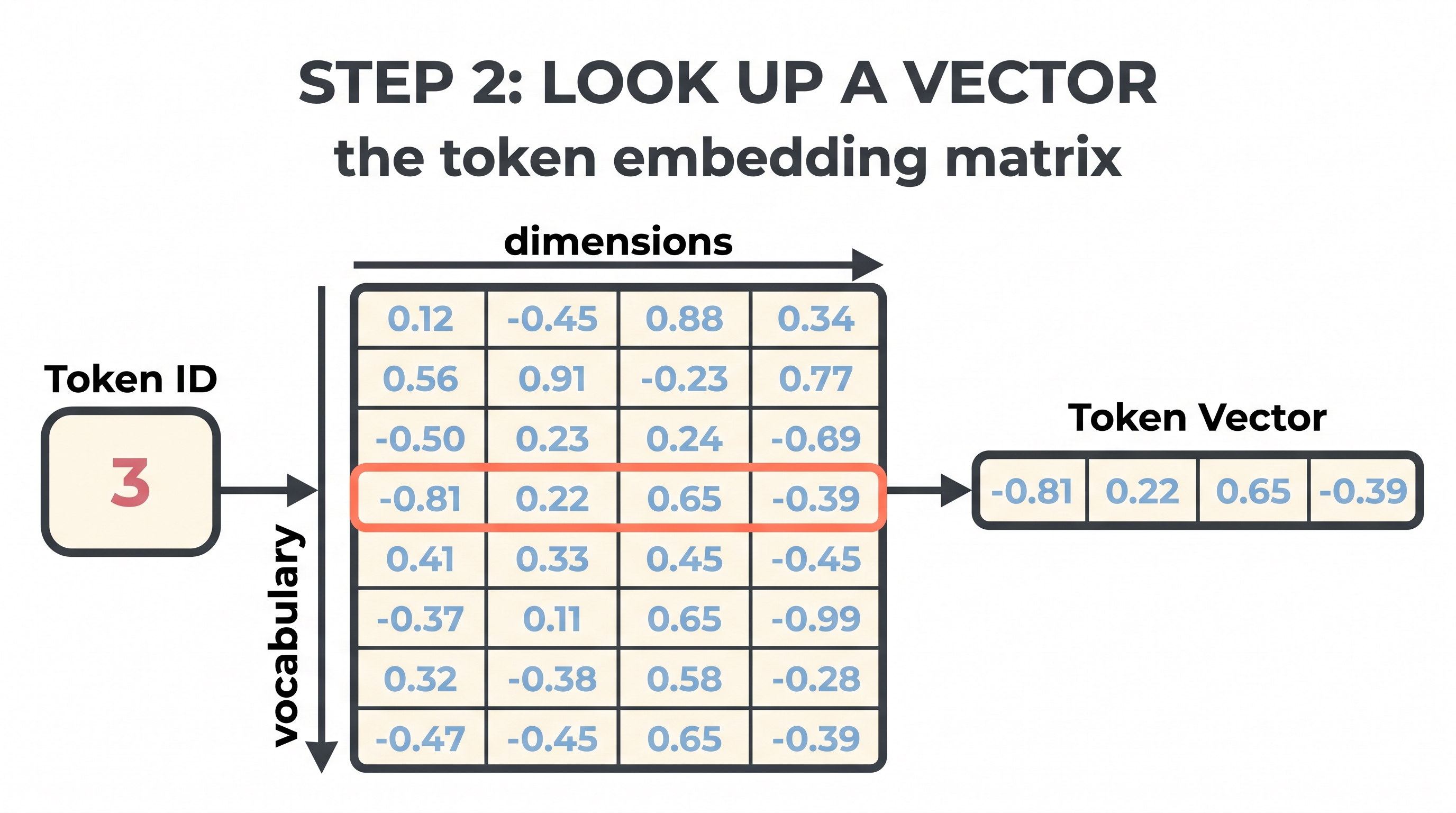 The token embedding matrix: look up a row to get a vector