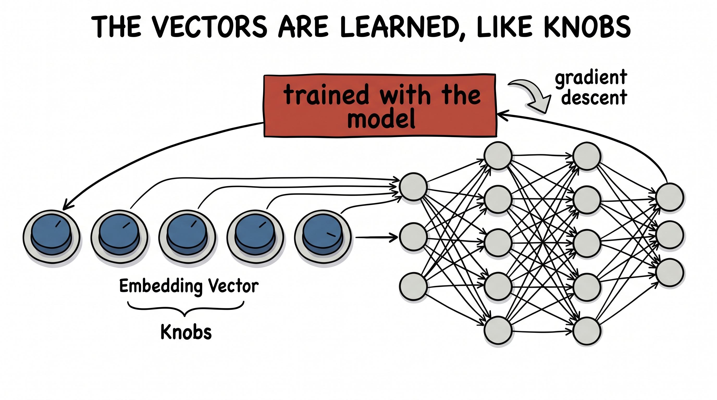 The embedding vectors are learned like knobs