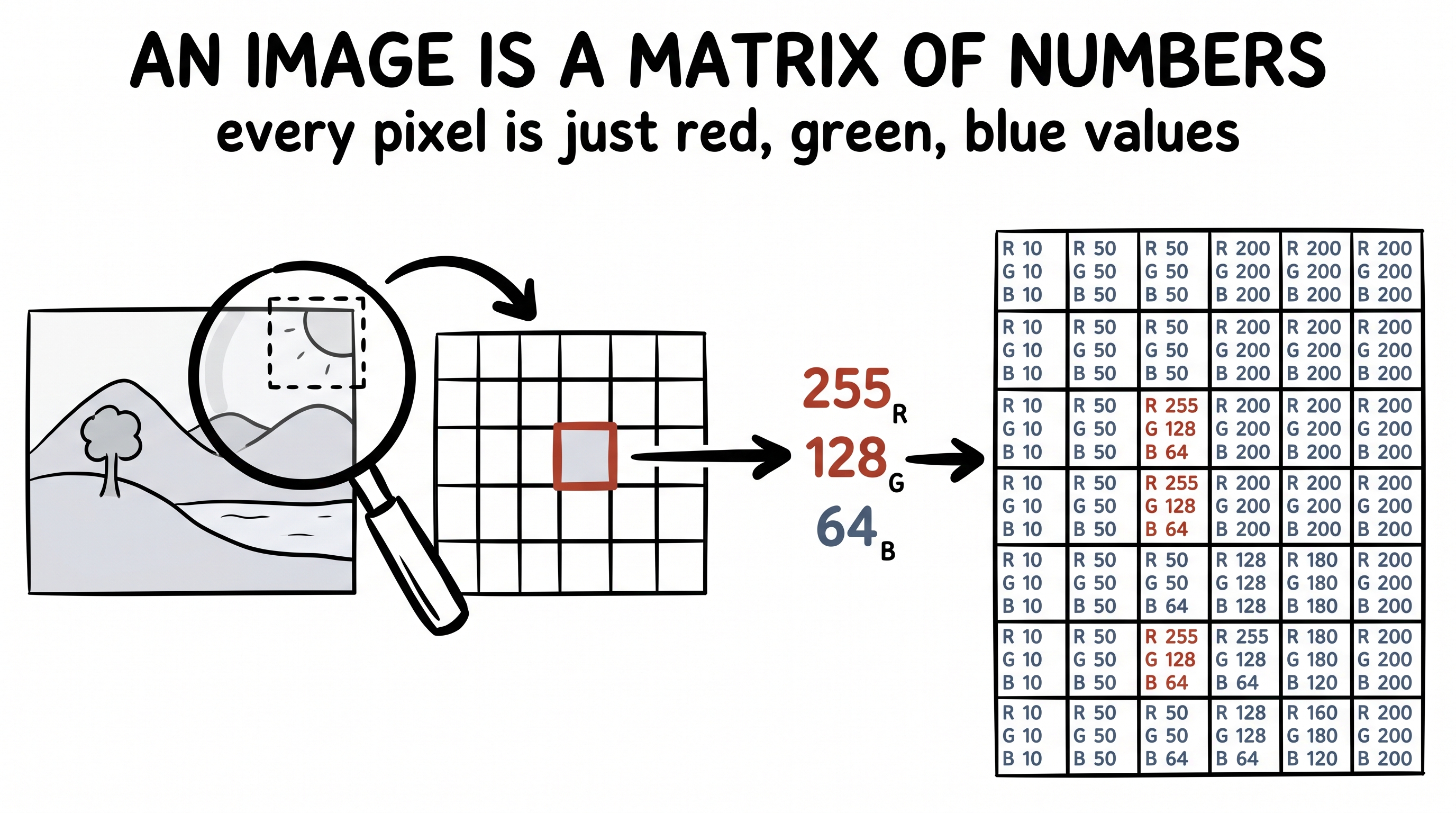 An image is a matrix of pixel numbers