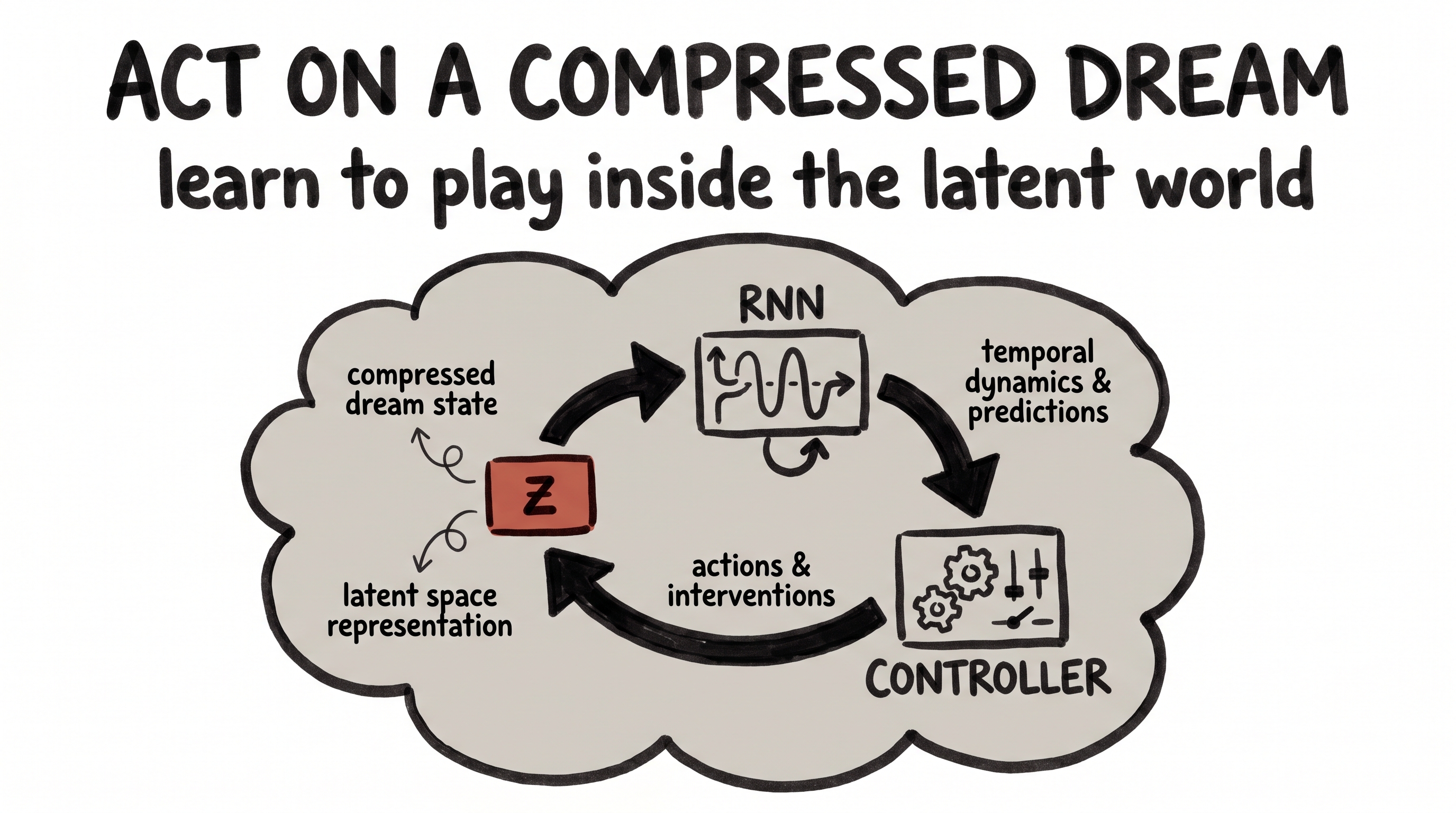 The agent learns to act inside the compressed latent dream