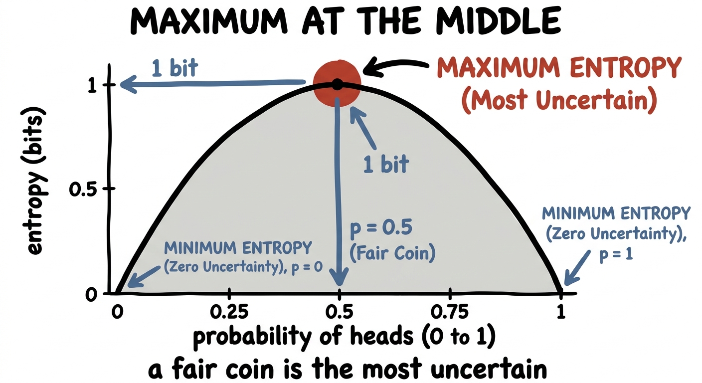 The binary entropy curve, an arch peaking at probability one half
