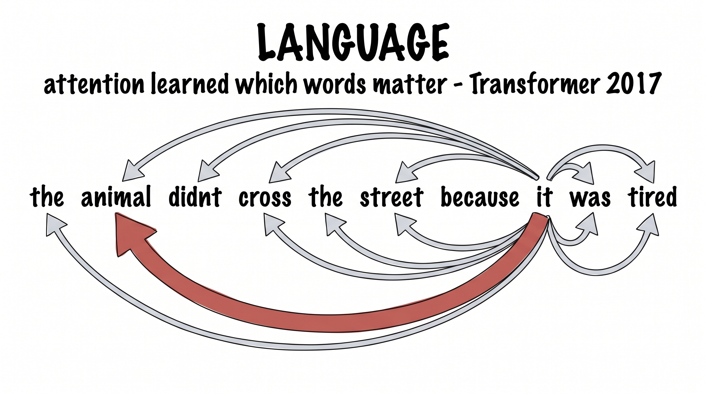 Language — attention learned which words matter