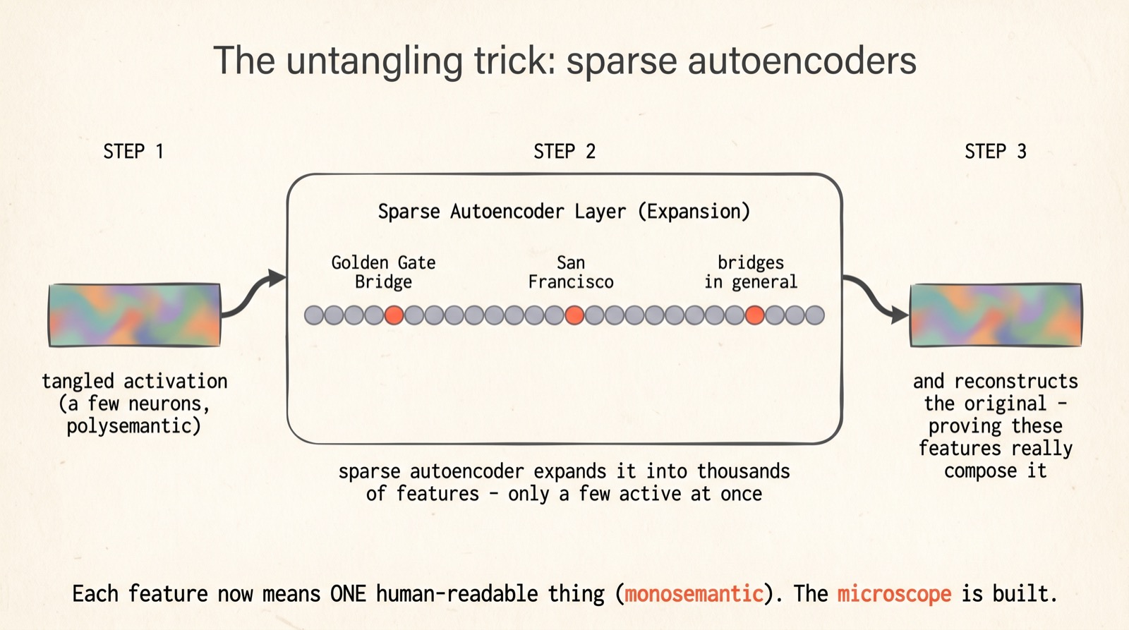 The AI Microscope — A Visual Walkthrough