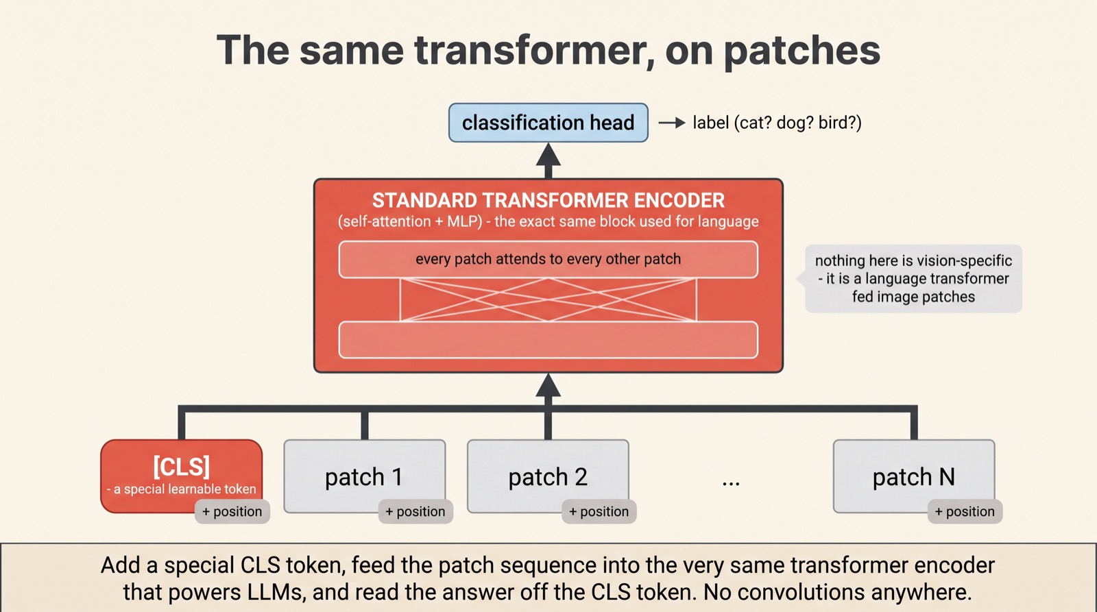 A [CLS] token prepended to the patch-token sequence, fed into a standard transformer encoder (self-attention + MLP), with the CLS output going to a classification head that produces a label.